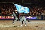Cavalry - 00083